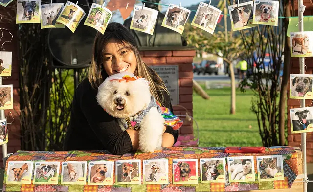 Capa do projeto Festa Aunina